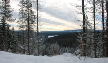 das Erzgebirge im Winter