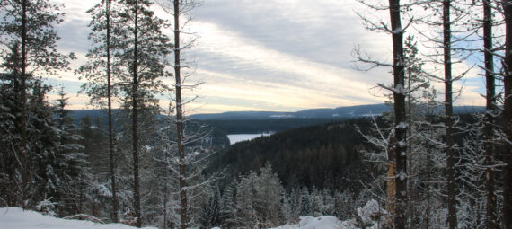 das Erzgebirge im Winter