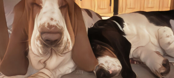 kleines Nickerchen unter dem Tisch